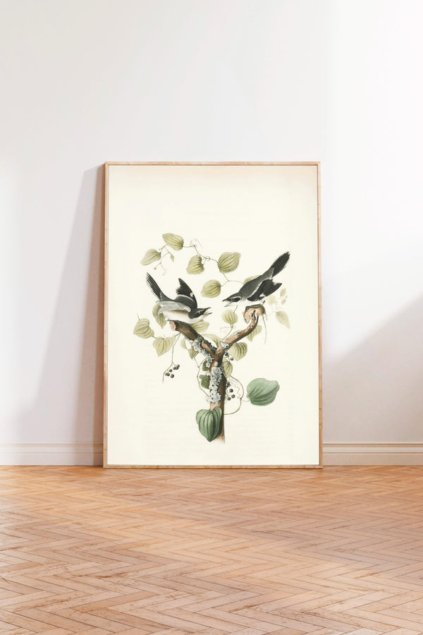 a framed print of a bird perched on a branch with leaves, set against a white background.