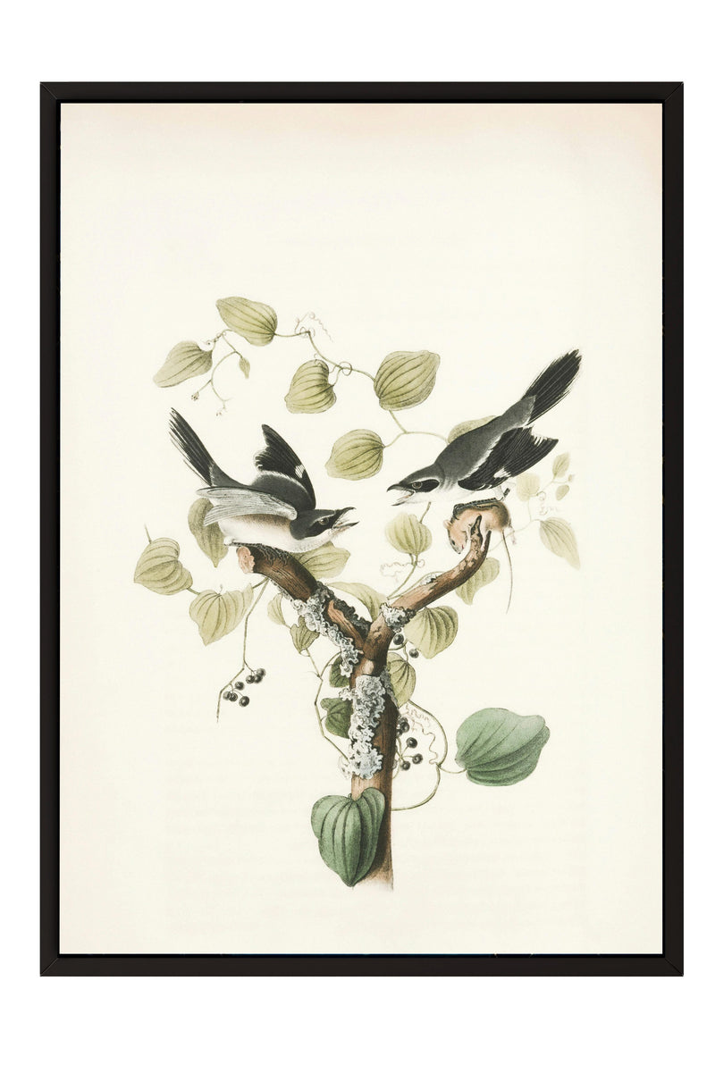 A framed print depicting two birds perched on a branch with green leaves and berries.