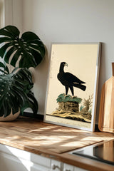 a framed illustration of a black bird perched on a rock, surrounded by a lush green plant and a wooden cutting board.