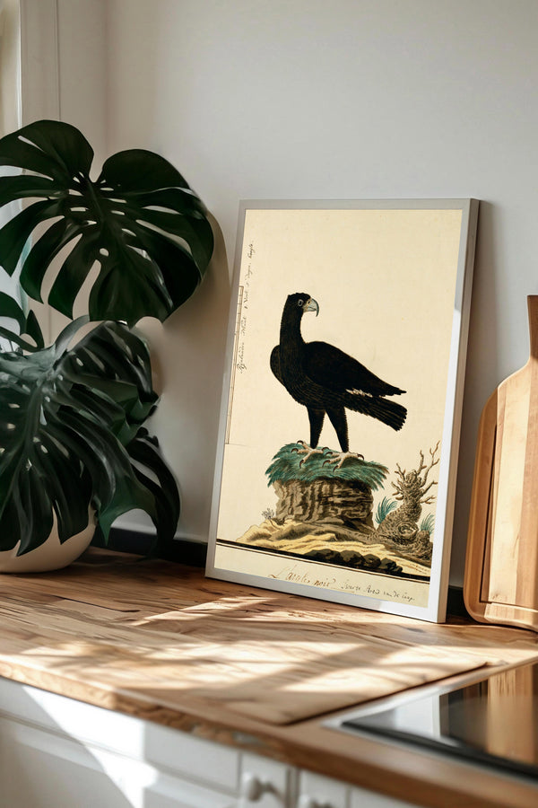 a framed illustration of a black bird perched on a rock, surrounded by a lush green plant and a wooden cutting board.