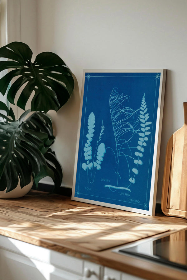 a framed botanical illustration of ferns and other plants, displayed on a wooden surface next to a potted plant.